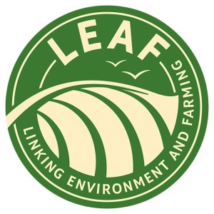 LEAF