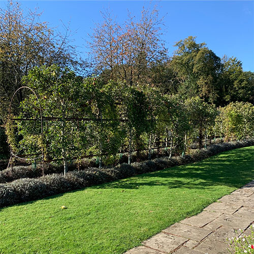 herbaceous border