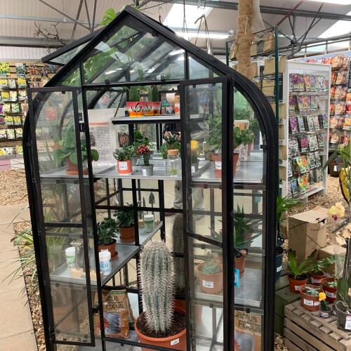 Small glass greenhouse