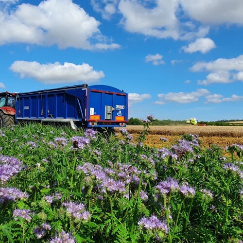 Waitrose & Partners harvest 