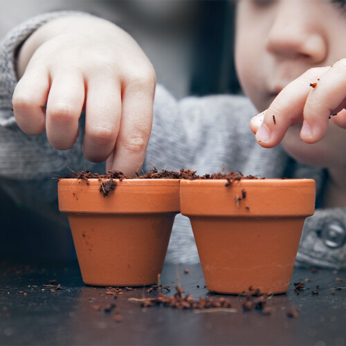  Longstock Park Nursery 