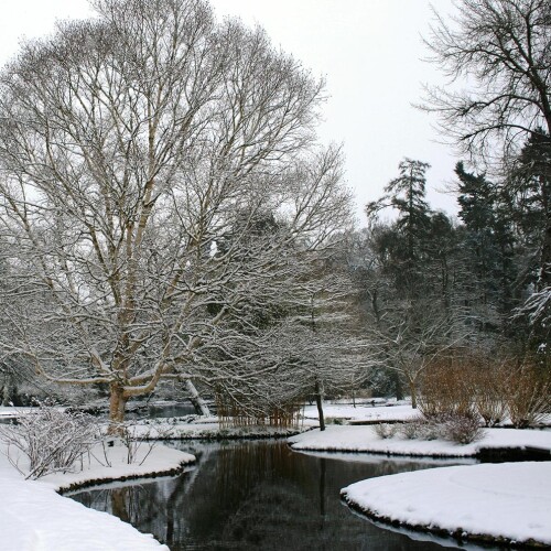 snow scattered ground and trees along river