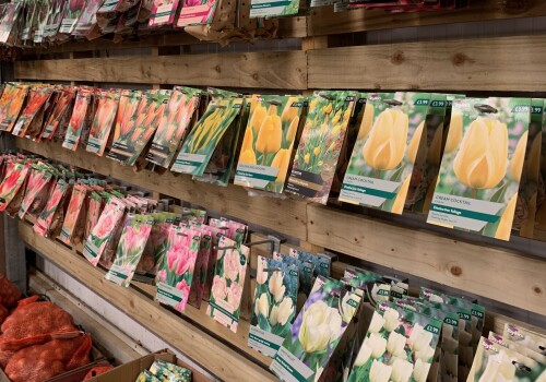 Bulb Bonanza Extended Weekend: 13th-15th September