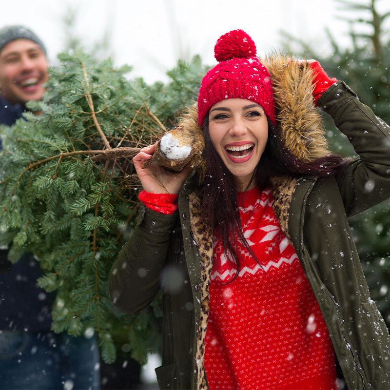 Leckford Estate: Your Destination for Christmas Trees and Joy!