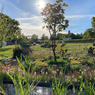 Longstock Park Landscaping