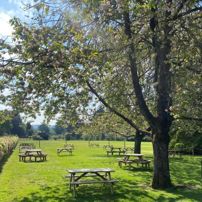 Tables at cherry tree cafe