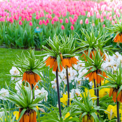 A Day Out at Leckford Estate | Water Garden 2026 Guide|