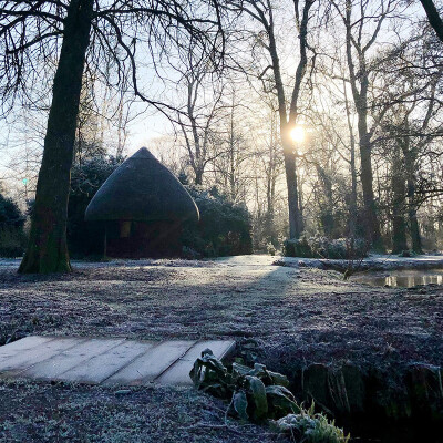 New Year, New View: A Fresh Start at Leckford Estate