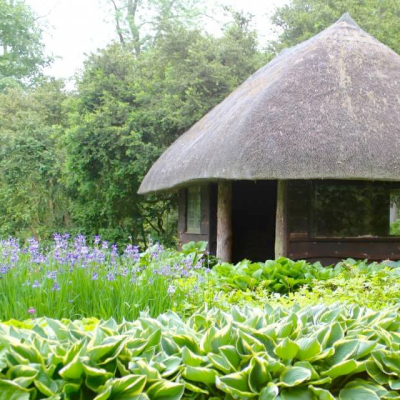 Looking After the Water Garden