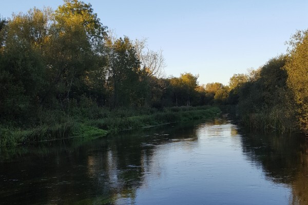 Shaded river view