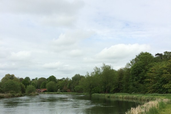 River and trees