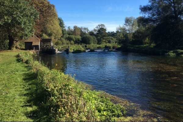 River under a willow tree