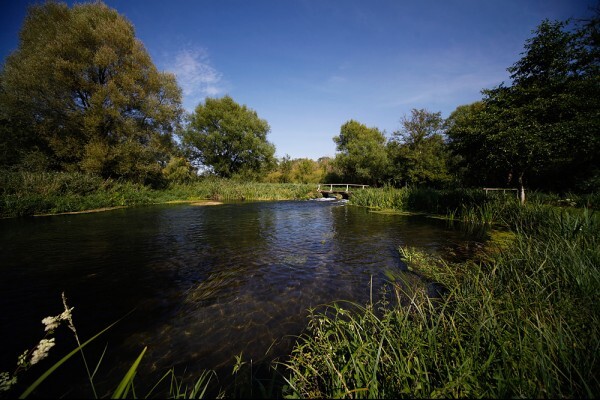 River view through long grass